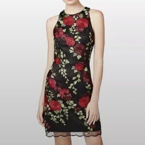 EUC! Betsey Johnson Black and Rose Dress Size 10